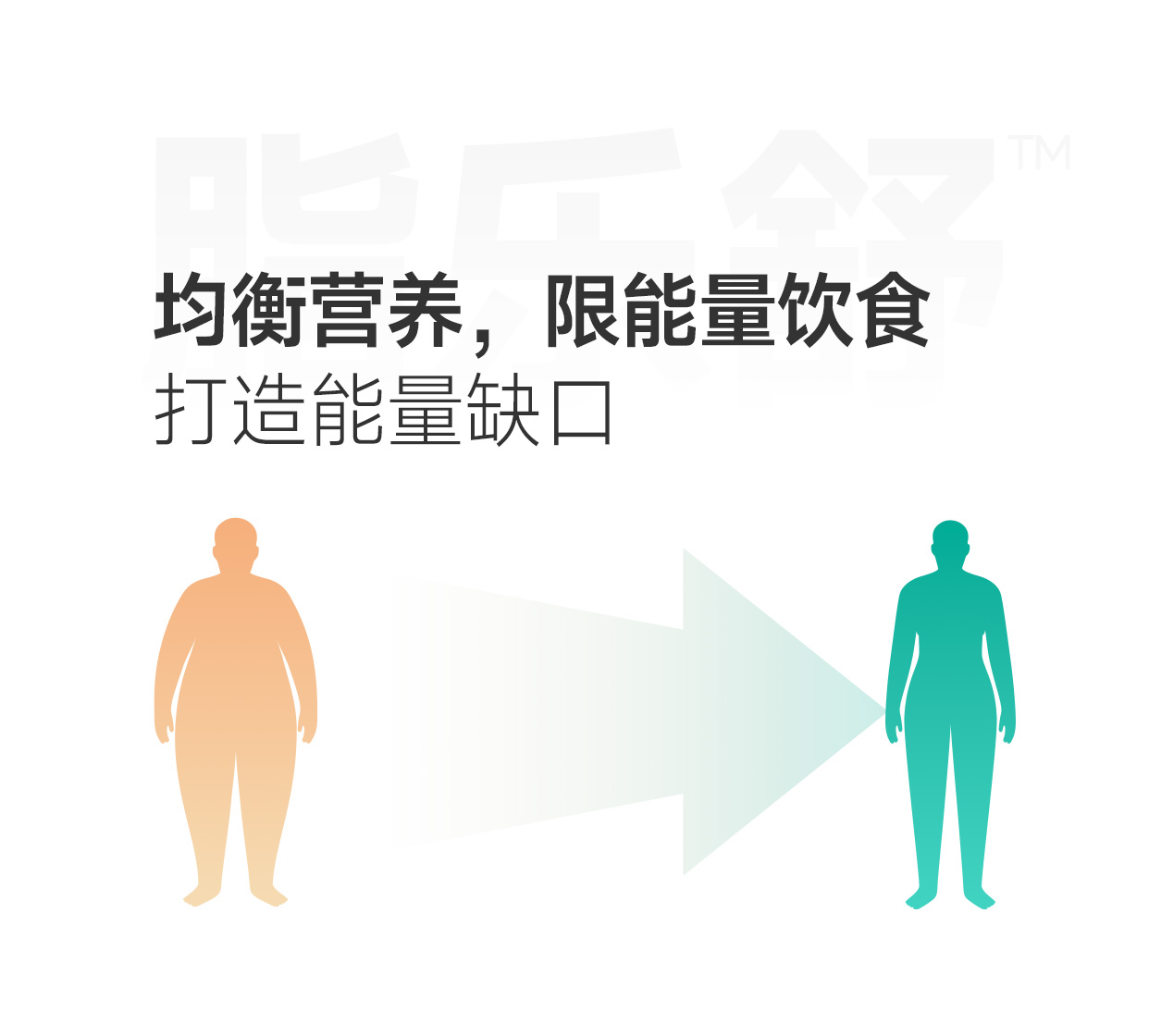 Li05 Flaxseed Dietary Fiber